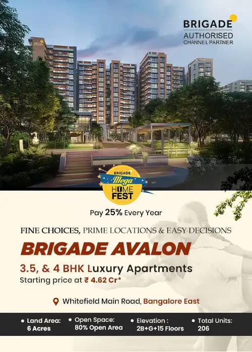 Brigade Avalon Offer