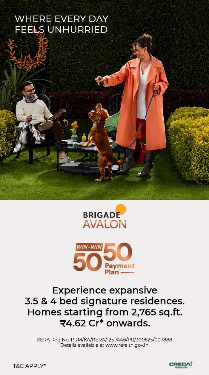 Brigade Avalon